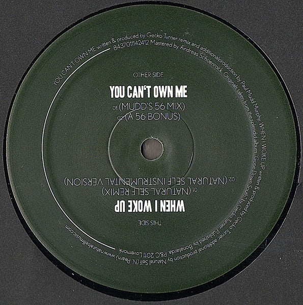 Gecko Turner : You Can't Own Me / When I Woke Up (12")