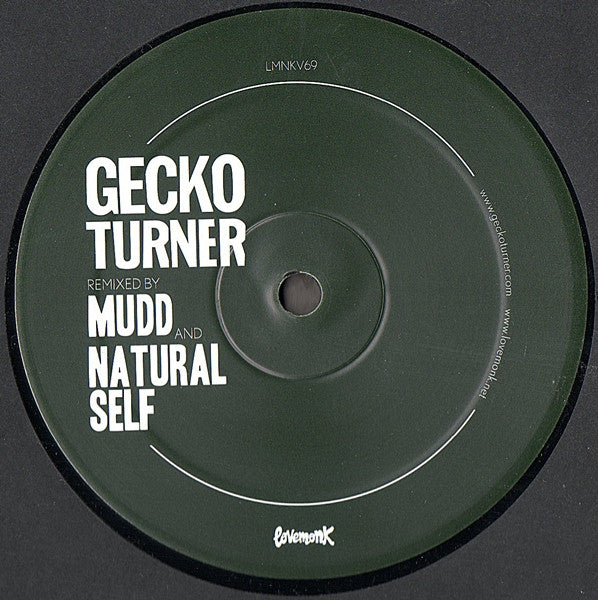 Gecko Turner : You Can't Own Me / When I Woke Up (12")